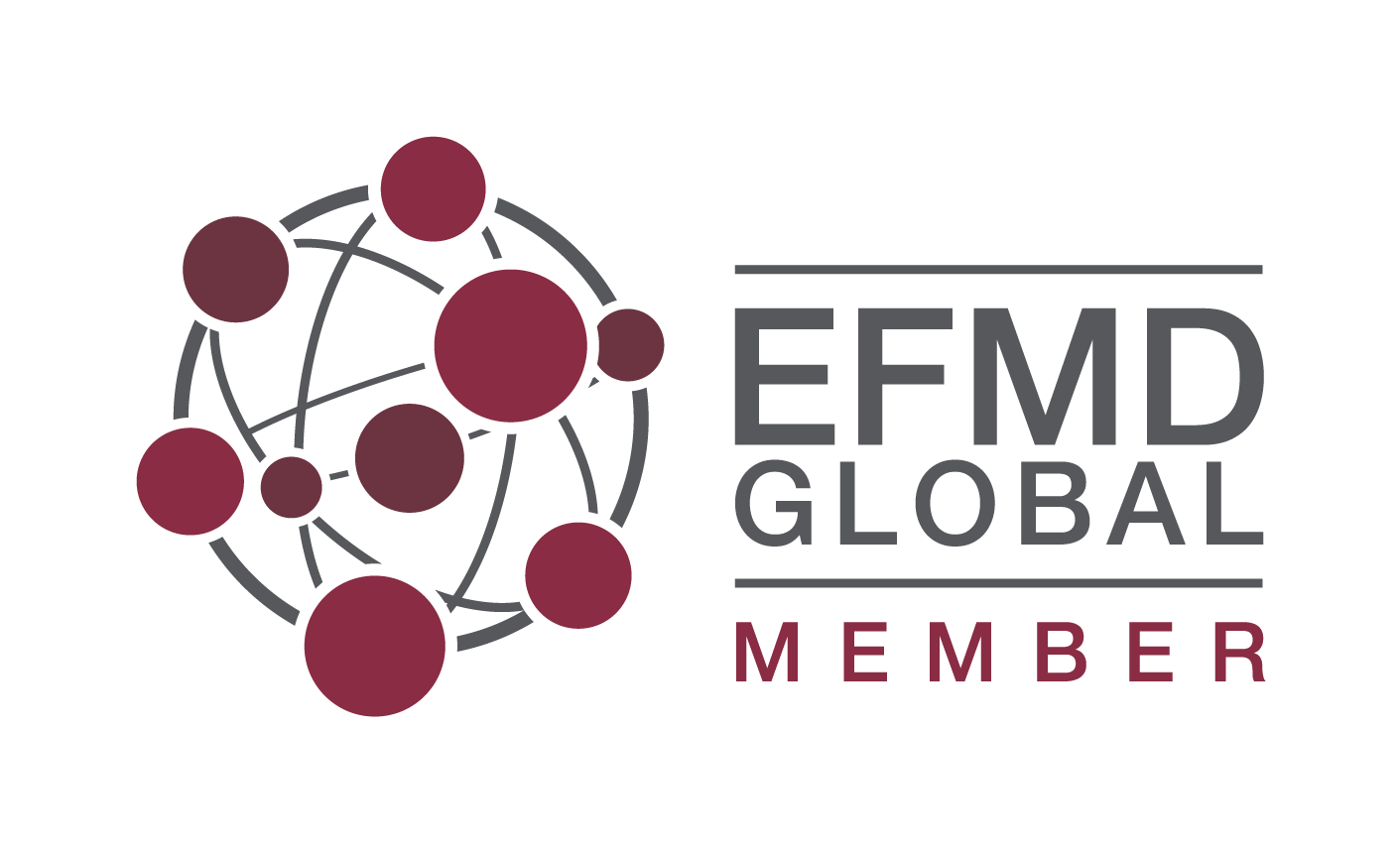 logo EFMD